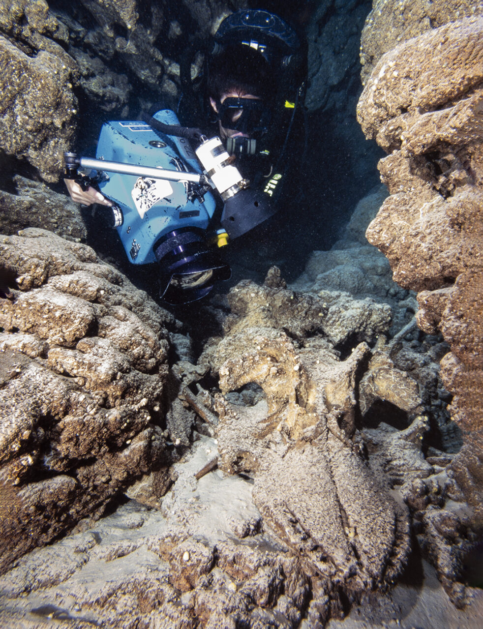 John McKenney diving a Biomarine Mark 15.5 Closed Circuit rebreather filming the skull which belonged to a large bull found at the 103-foot depth zone in the cave. 