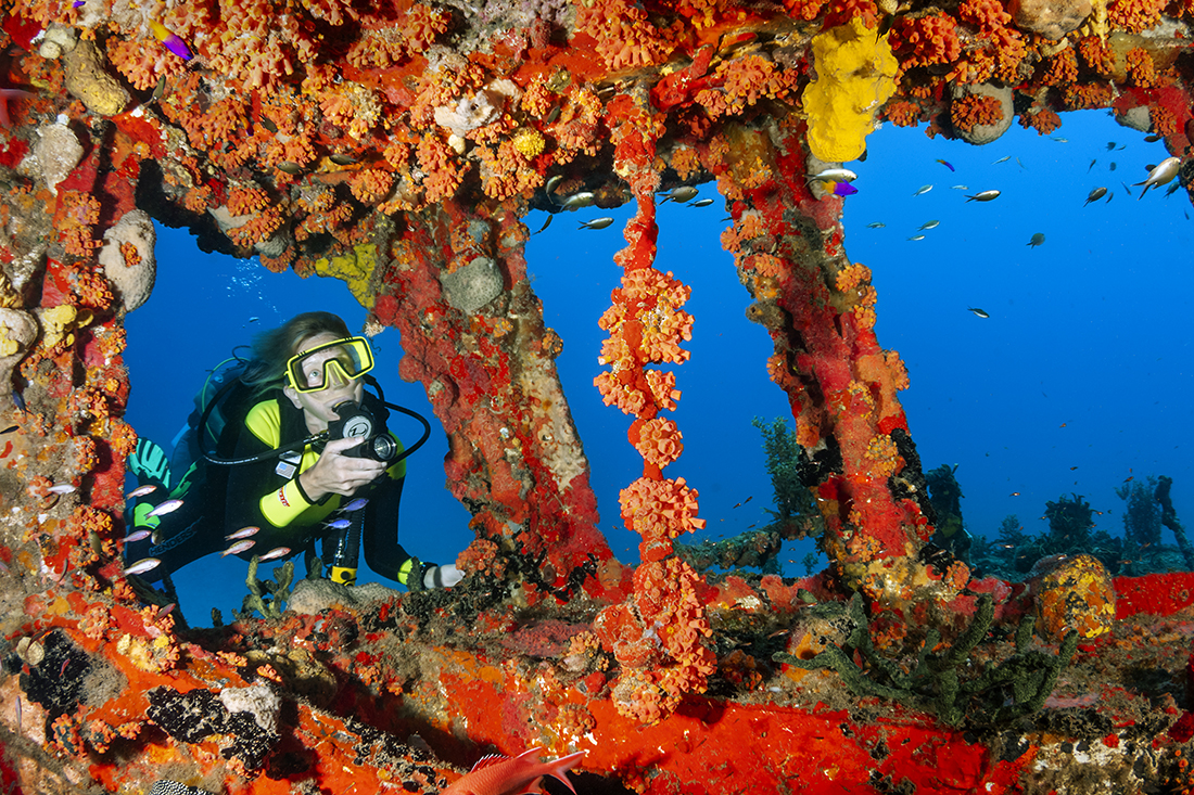 Diver viewing the colorful interior of wreck. While it is generally frowned upon for a diver to put their hands on a reef, using one hand to themselves steady is considered O.K. To make the shot more interesting, both diver and photographer are applying rule 6 and 7.