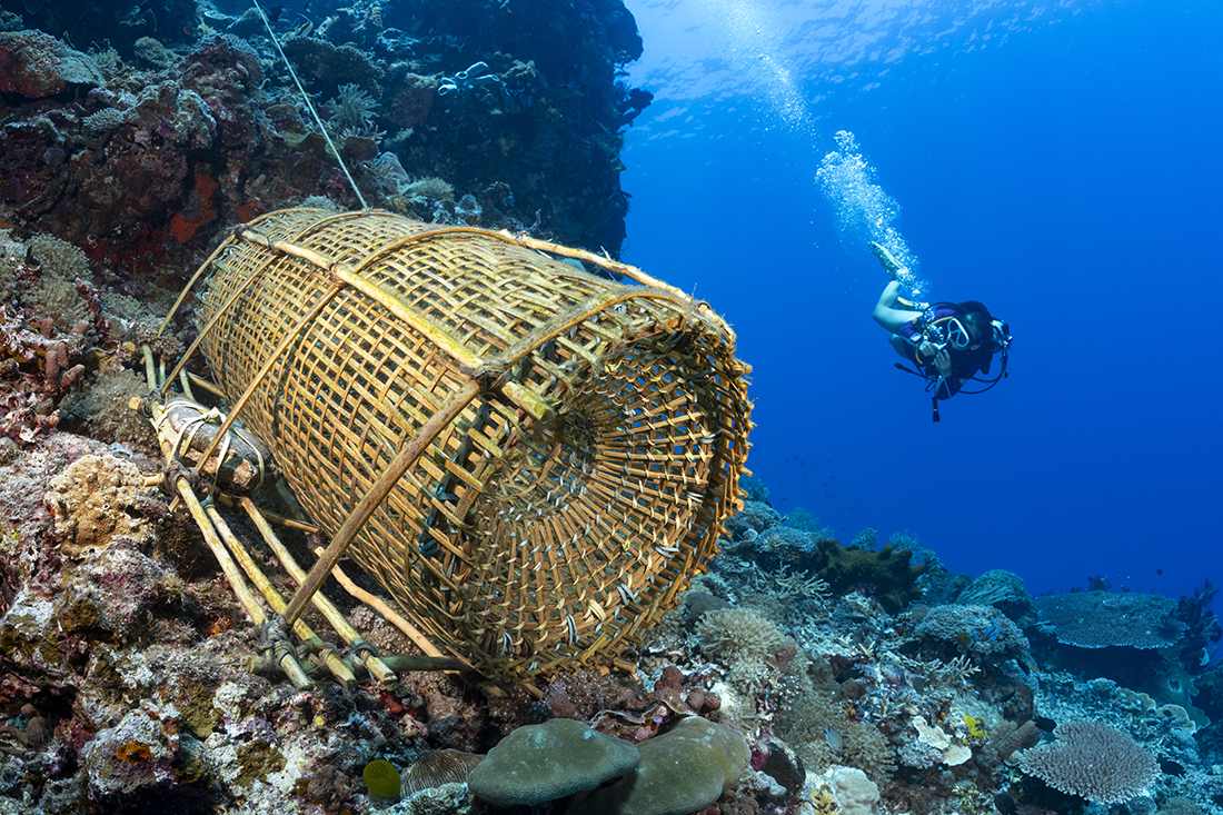 When diving the reefs close to villages like Yan and in Alor, you will surely  encounter hand woven fish traps. Skillfully fashioned from strips of slip bamboo, the locals of Alor have relied on this method of fishing as a means of survival for generations.