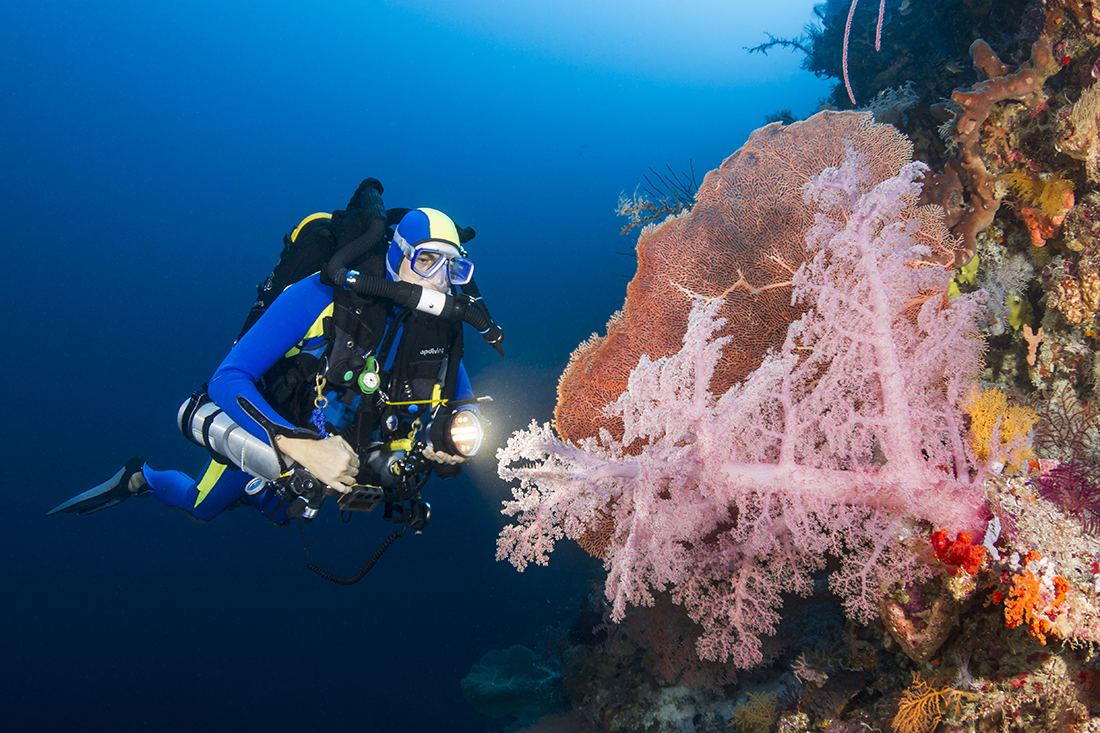 A CCR Diver exploring a deeper region of Wakatobi's vertical reef faces.