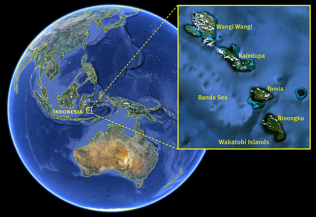 Where Wakatobi is located.