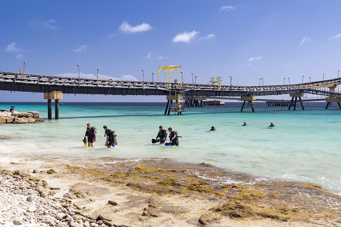 Divers coming and going on the north side of the Salt Pier. Although the pier is occasionally visited by boat from Bonaire’s long list of diving operations, the most popular means to access it is from shore.  