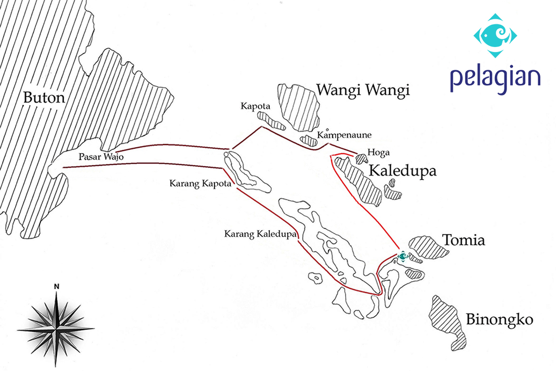 The general route the Pelagian takes during its week cruise through the Wakatobi Regency. A trips begin and end back at Wakatobi Dive Resort adjacent of Tomia.