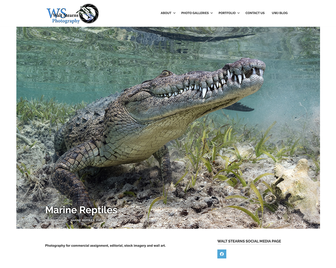 Website for Walt Stearns Photography